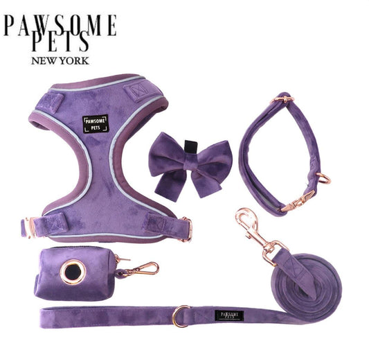 Coffret Promenade Violet — 5 Pièces