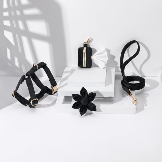 Coffret Promenade Floral Noir — 4 Pièces