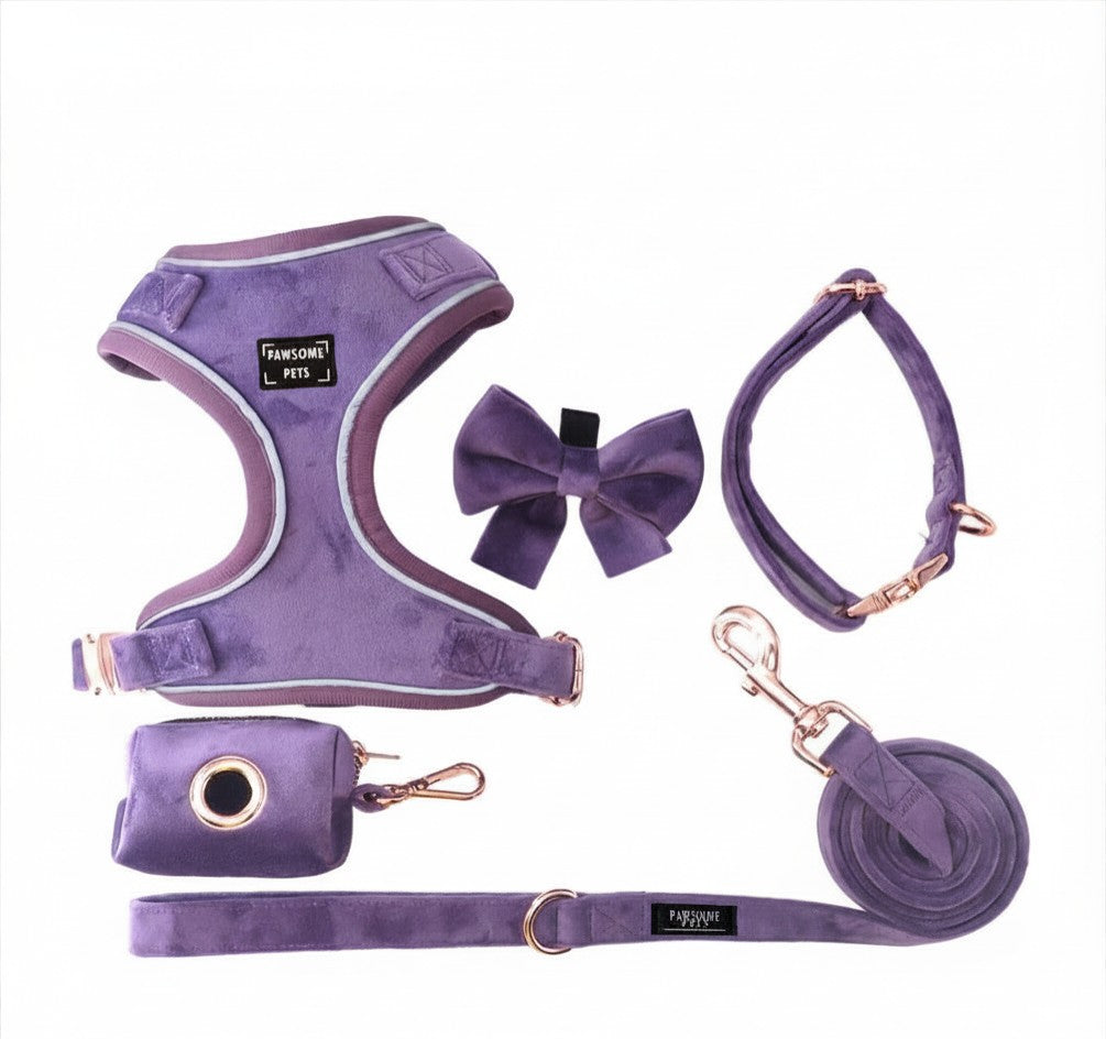 Coffret Promenade Violet — 5 Pièces