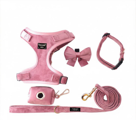 Coffret Promenade Rose Poudré — 5 Pièces